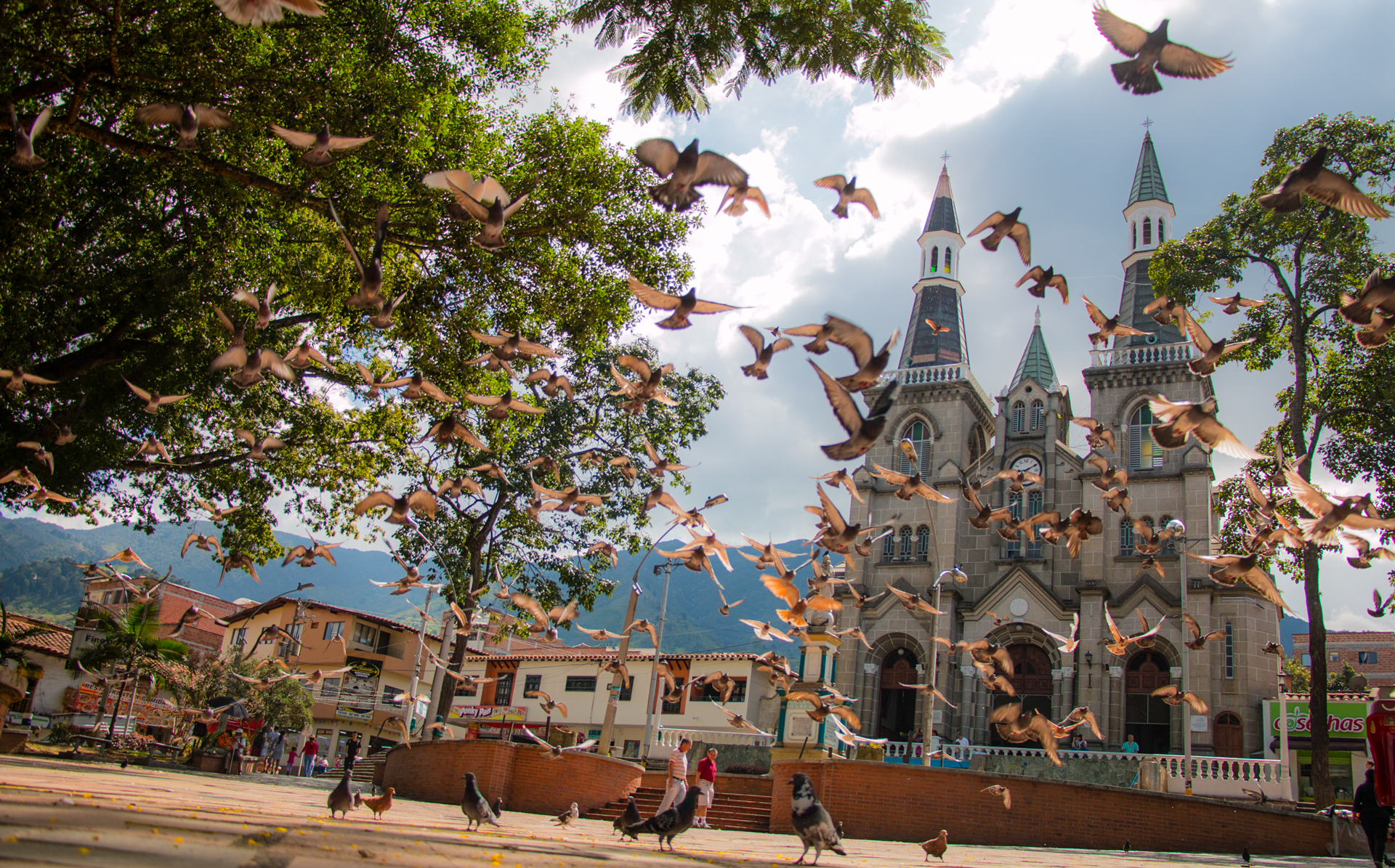 Colegios privados en la Estrella